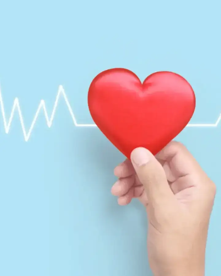 a hand holding a red heart with a heartbeat line