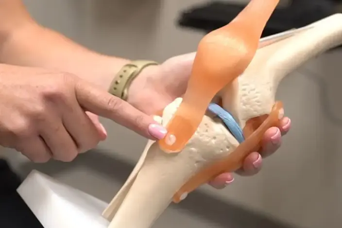 man pointing a knee model